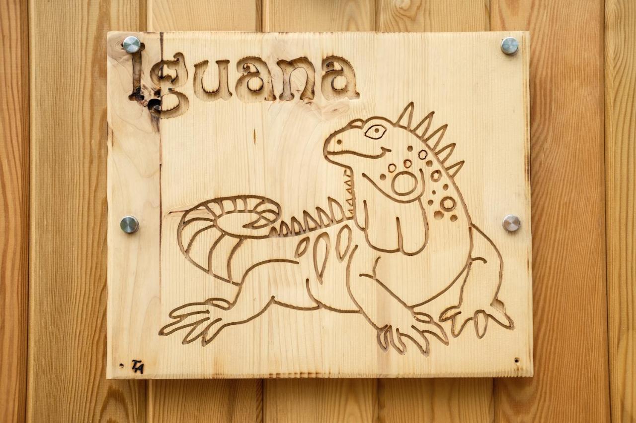 Iguana - Das Tiny Haus Am Reptilienzoo Reptilium Landau in der Pfalz Exteriör bild